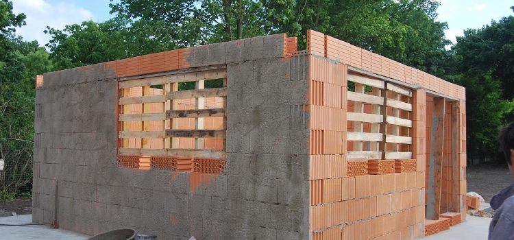 Sonnengarten 5